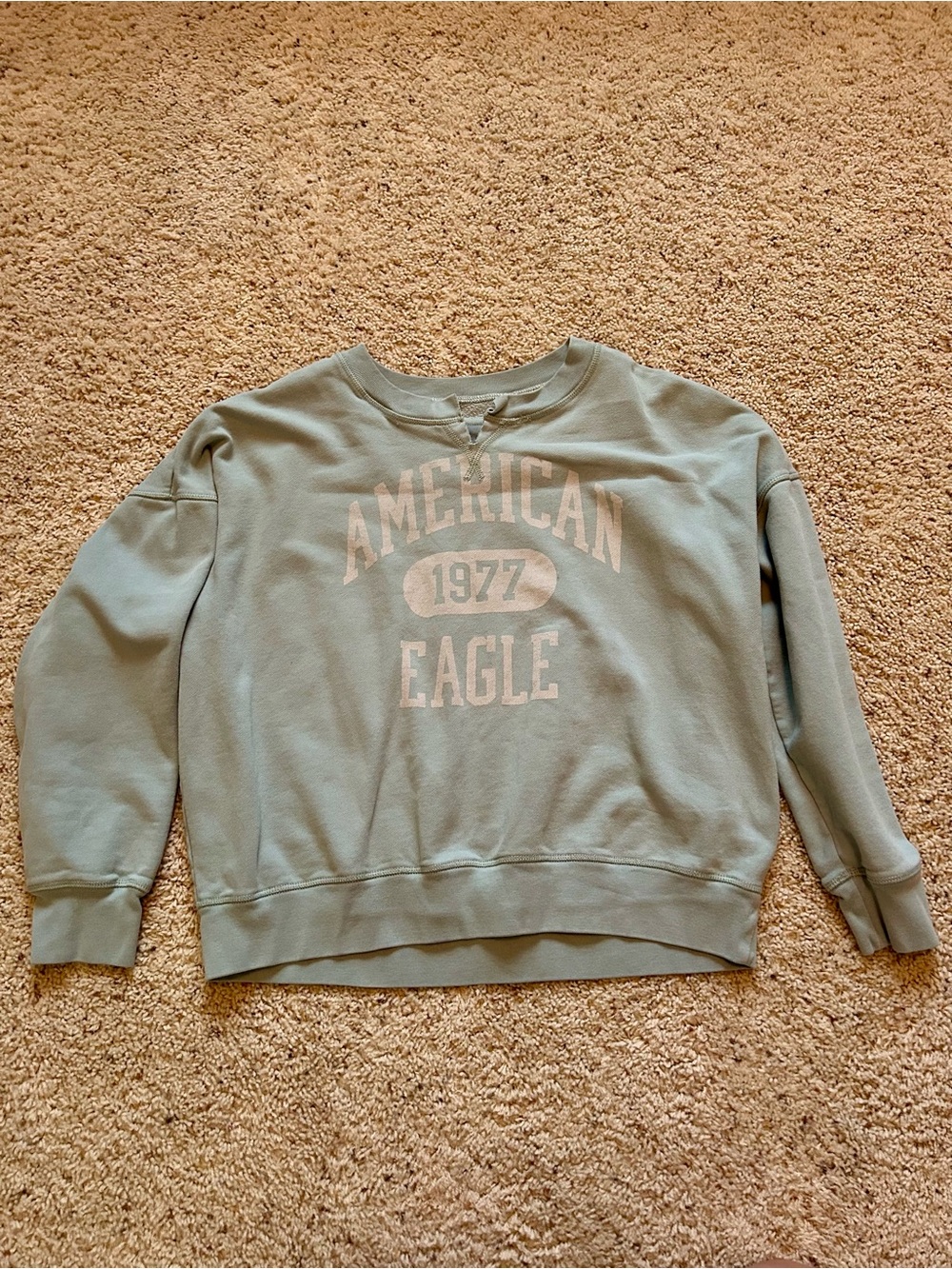 American Eagle Outfitters Sage Green Crewneck Sweatshirt with Front Logo